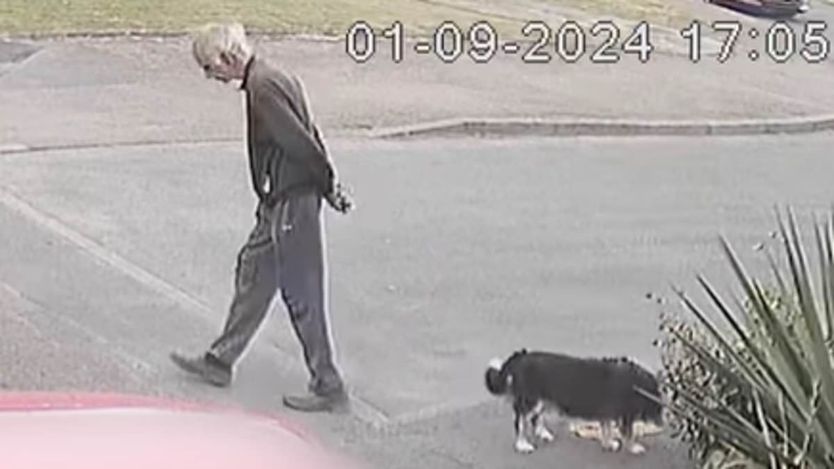 alert-–-schoolboy,-15,-who-racially-abused-and-killed-dog-walker-metres-from-his-home-in-‘wicked’-attack-is-locked-up-for-seven-years-–-as-female-accomplice,-13,-who-laughed-and-filmed-it-avoids-detention
