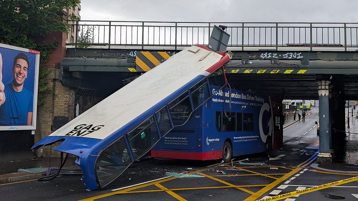 alert-–-‘did-i-pass?’-driver-training-bus-has-roof-ripped-off-in-bridge-crash