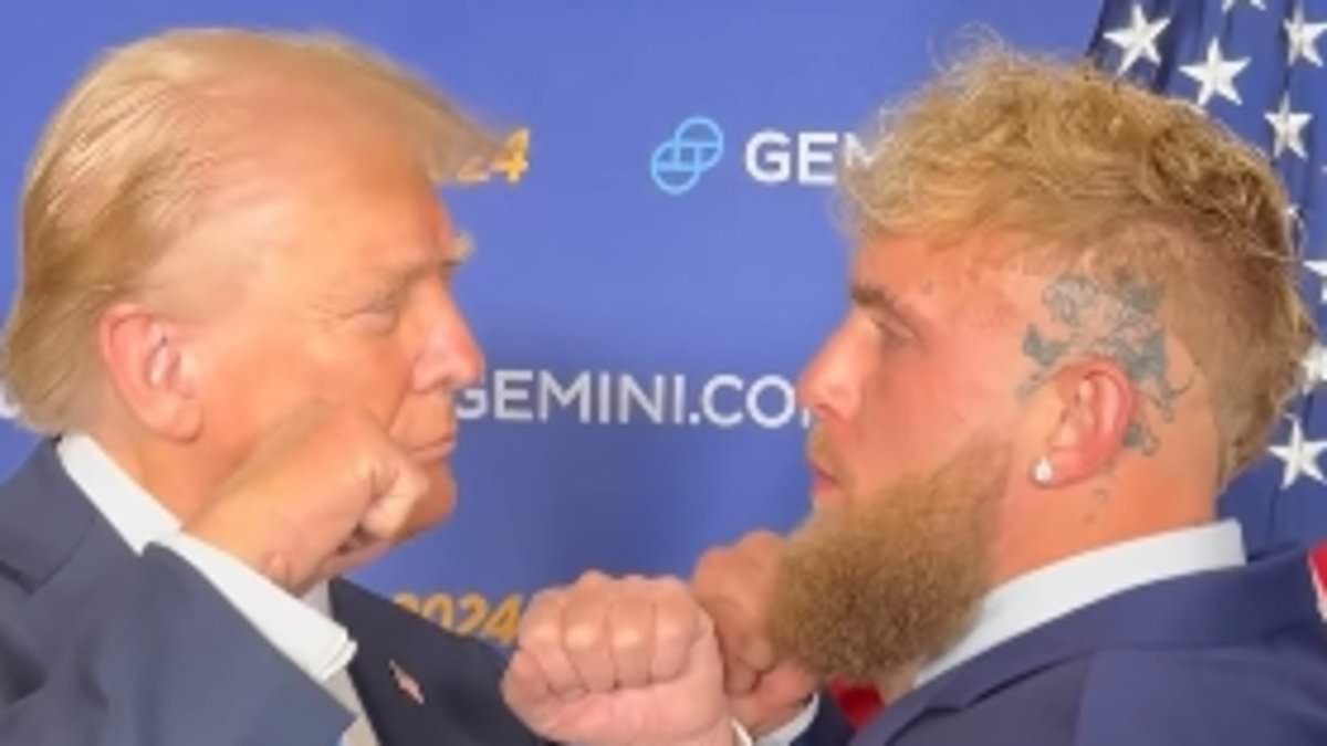alert-–-jake-paul-sends-savage-message-to-donald-trump-over-bitter-elon-musk-feud