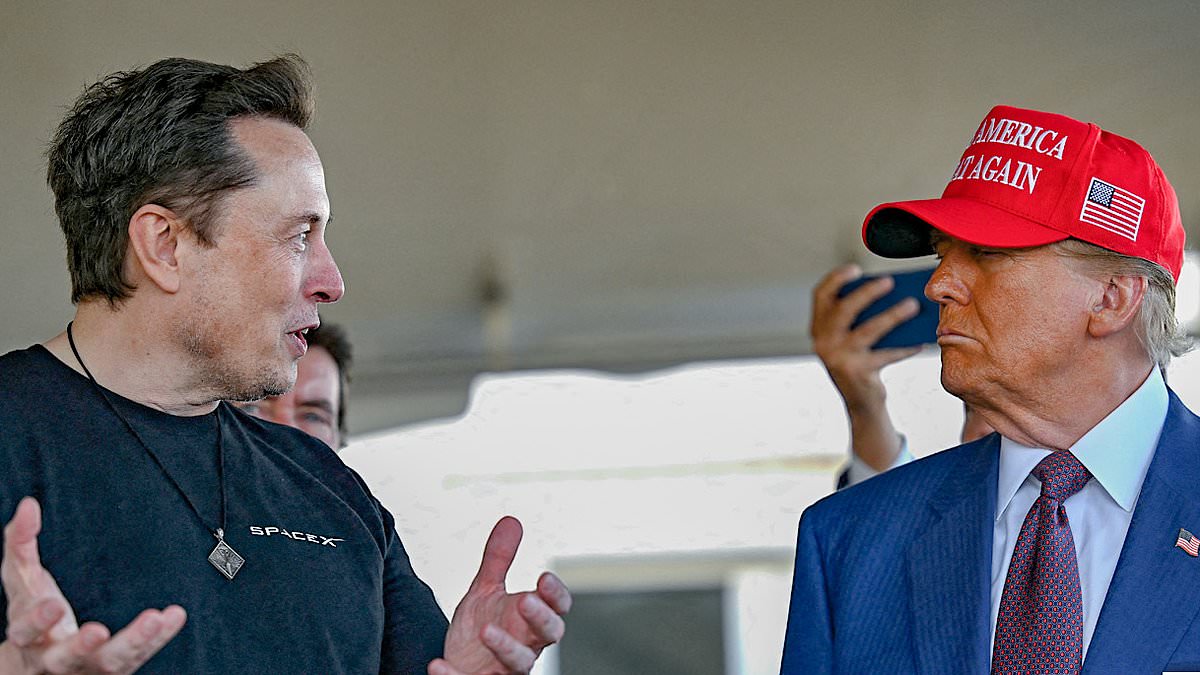alert-–-trump-urged-to-immediately-seize-spacex-from-musk-after-fallen-‘first-buddy’-threatened-to-leave-nasa-astronauts-stranded-in-space