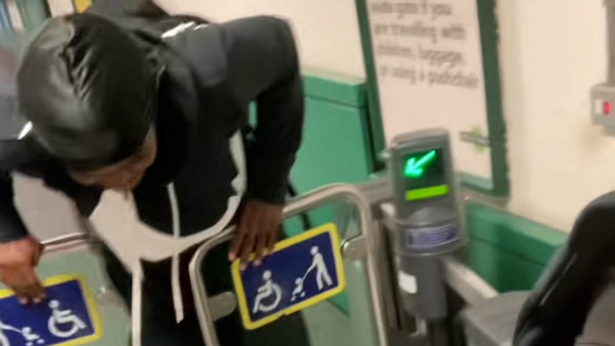 alert-–-the-tiktok-influencers-promoting-fare-dodging-on-the-tube:-viewers-shown-‘hacks’-to-get-through-barriers-without-paying-after-damning-report-reveals-the-criminality-has-become-‘normalised’