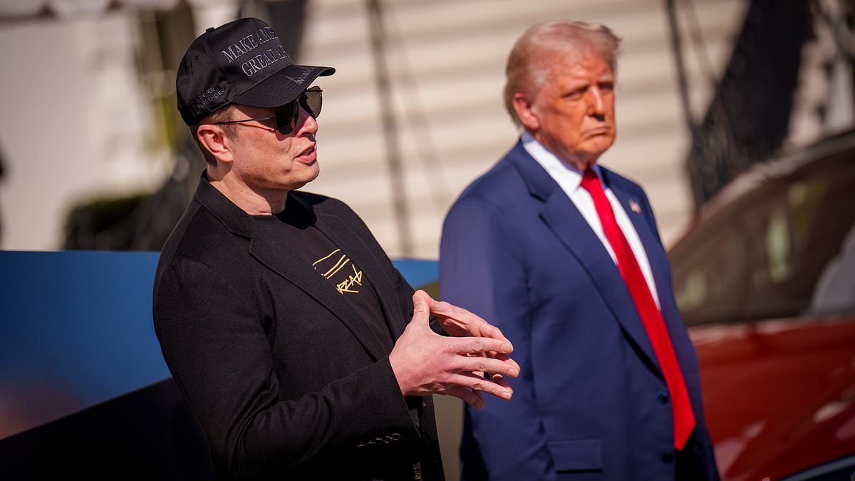 alert-–-elon-musk-backs-down-in-trump-battle-as-tesla-stocks-nosedive-and-maga-threatens-to-kick-him-out-the-country:-live-updates