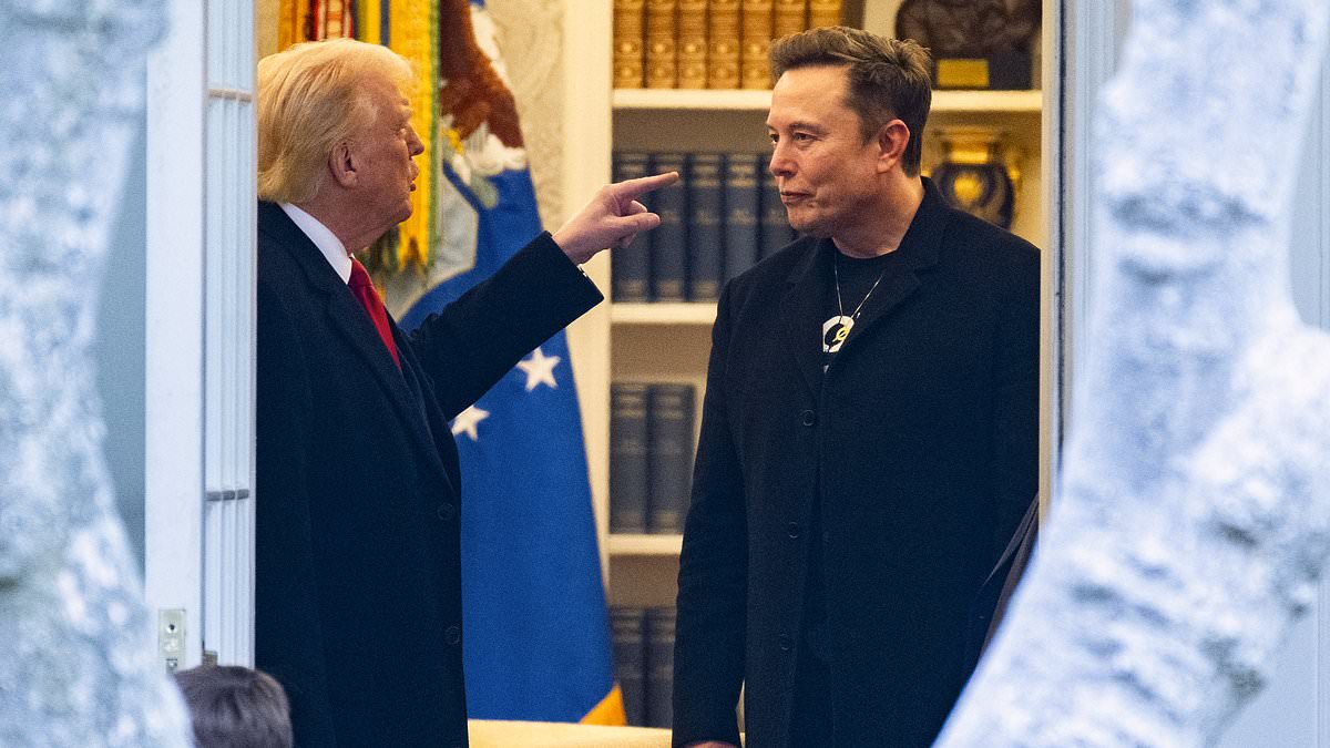 alert-–-the-influential-trump-advisor-who-triggered-the-president’s-spectacular-split-with-elon-musk