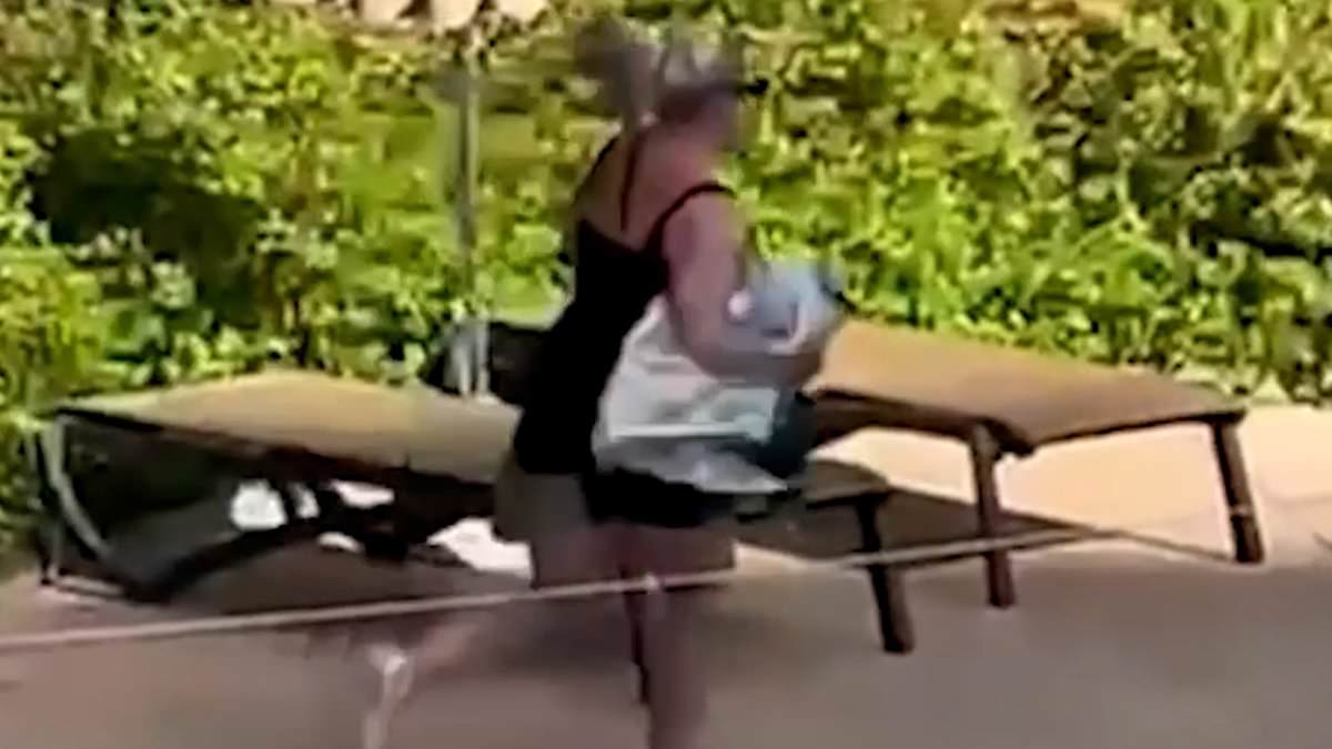 alert-–-and-they’re-off!-hilarious-moment-brits-on-holiday-race-each-other-to-reserve-sunbeds-in-magaluf-the-second-resort’s-pool-opens