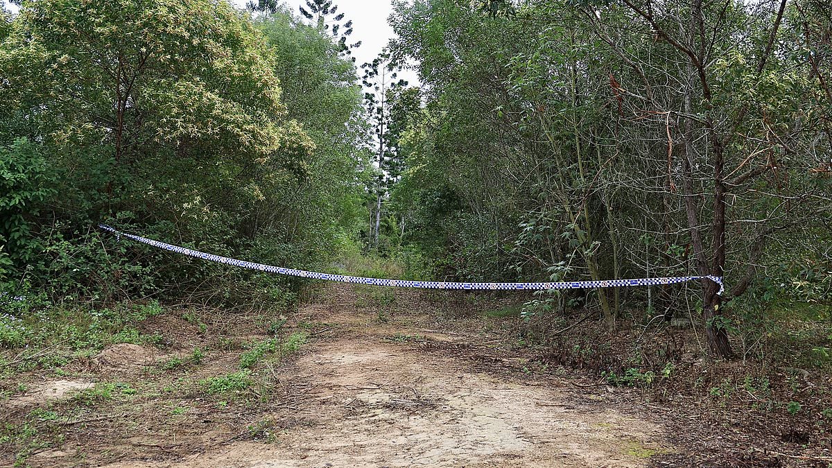 alert-–-the-gruesome-reality-of-pheobe’s-final-resting-place:-the-incredibly-remote-bushland-overrun-with-wild-dogs-and-pigs-where-the-missing-teen’s-body-is-believed-to-have-lay-for-three-weeks