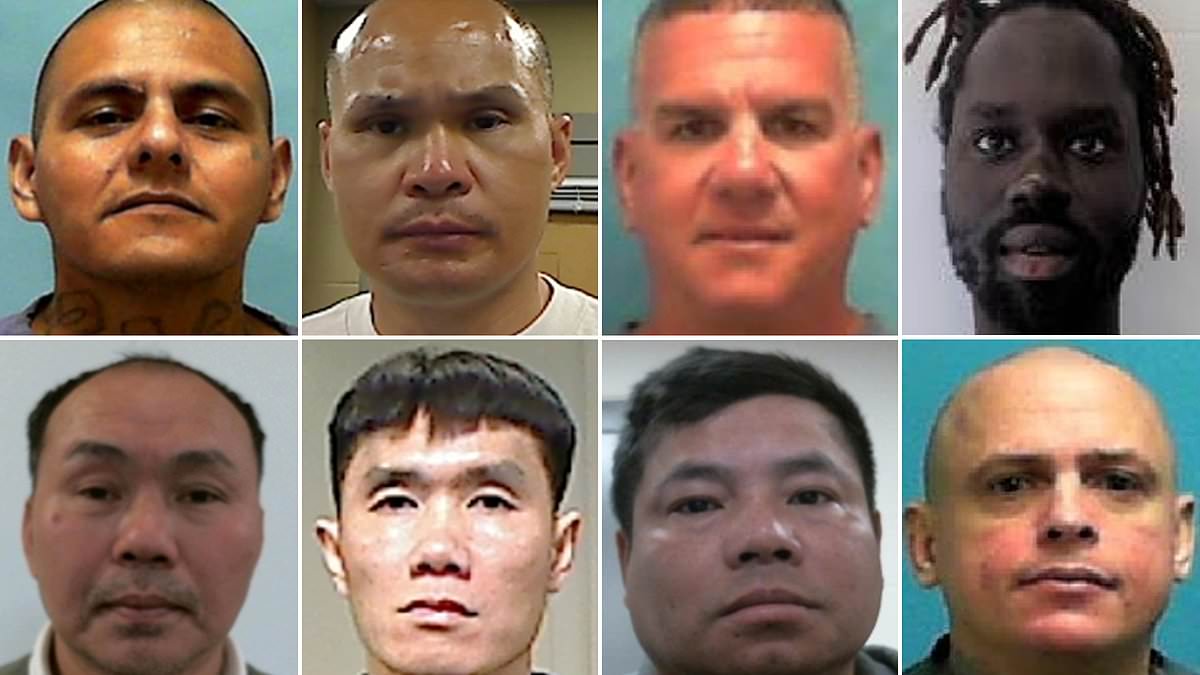 alert-–-more-than-a-dozen-ice-officers-are-trapped-in-sweltering-shipping-container-with-the-migrants-they-deported