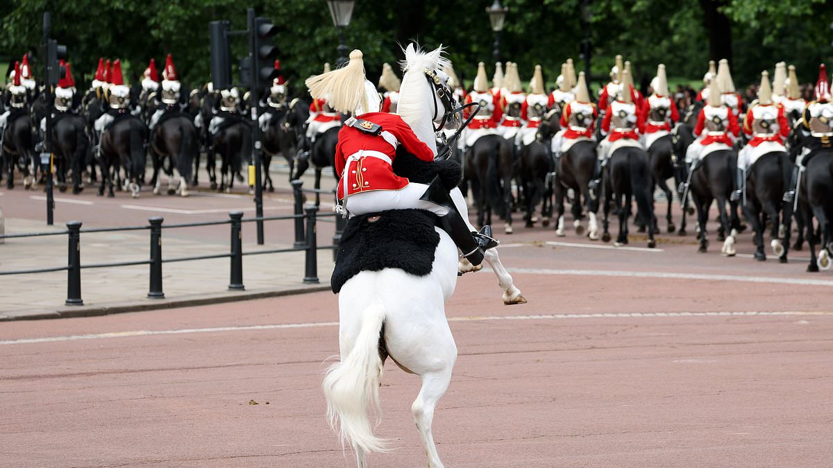 alert-–-tour-de-force!-british-soldiers-don-their-finest-uniforms-for-the-colonel’s-review-–-the-final-dress-rehearsal-before-trooping-the-colour-next-week