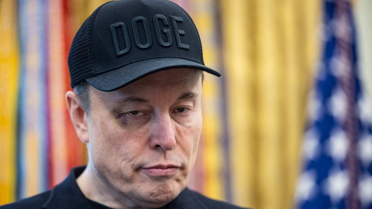 alert-–-gory-details-of-elon-musk’s-‘rugby-tackle’-of-scott-bessent-spill-out-as-white-house-leaks-escalate