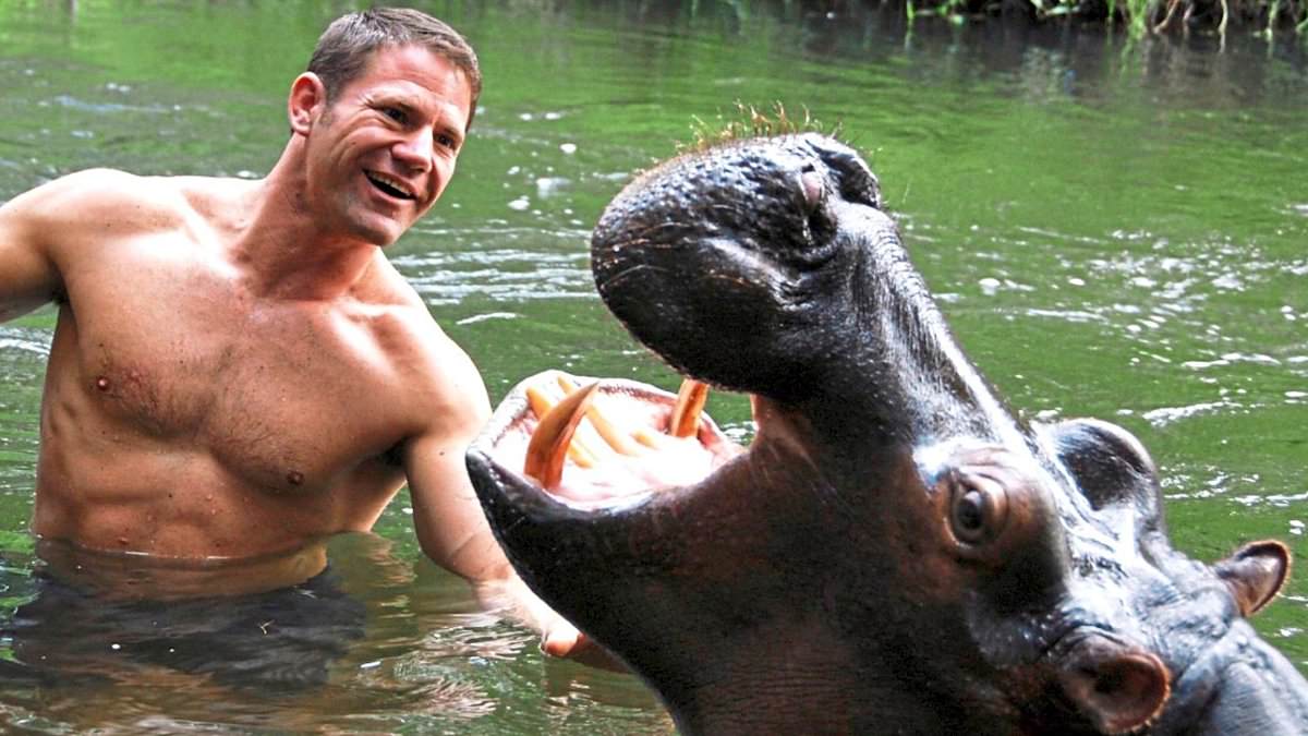 alert-–-my-biggest-challenge?-raising-three-young-children-in-my-50s…-tv-adventurer-steve-backshall-says-fatherhood-is-harder-than-going-up-against-crocodiles,-sharks-and-hippos