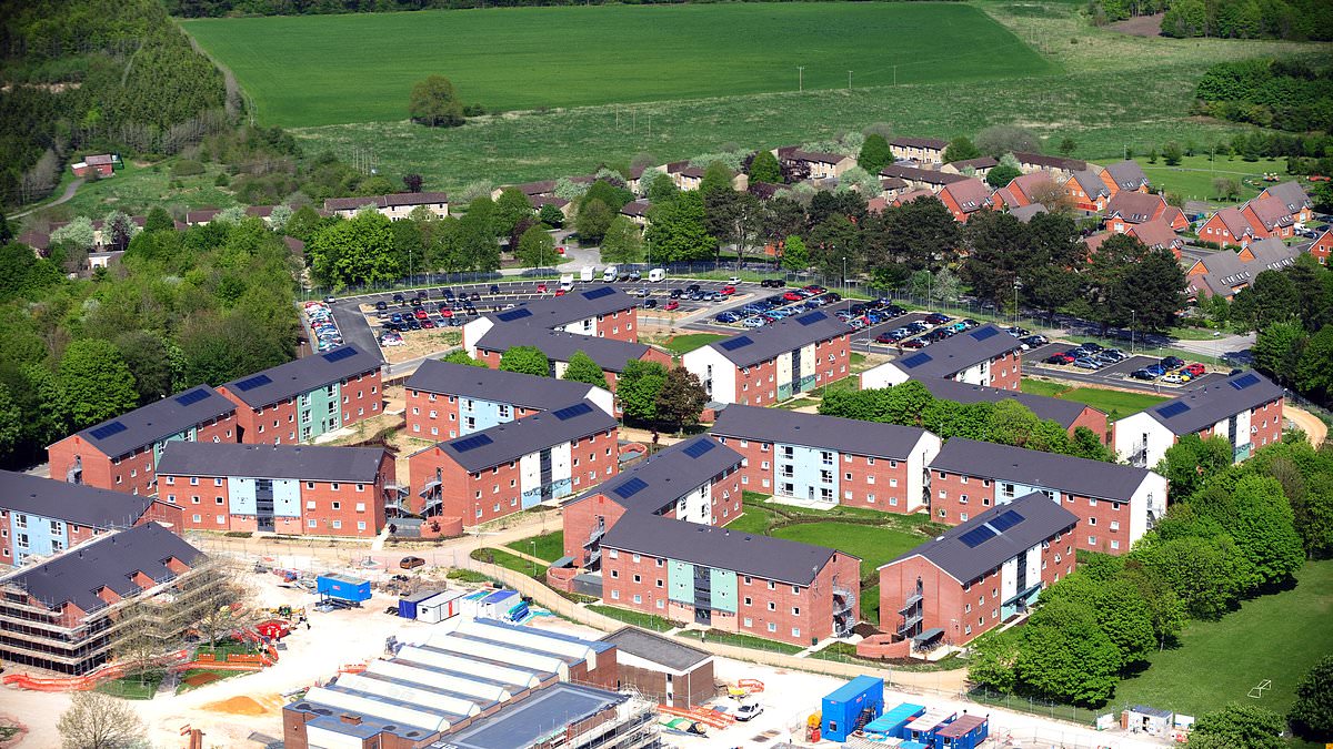 alert-–-soldier-is-‘stabbed-while-walking-his-dog-in-random-attack’-near-british-army-base-–-as-police-launch-probe