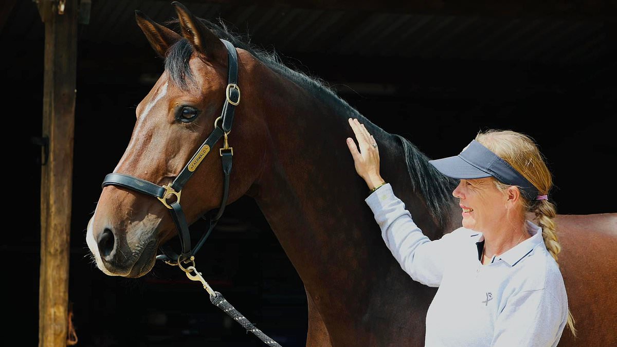 alert-–-dressage-rider-left-in-a-wheelchair-after-pack-of-dogs-let-off-the-lead-by-their-walker-spooked-her-horse-wins-500k-payout