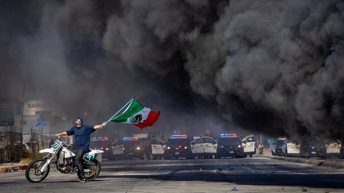 alert-–-masked-protestor-waving-mexican-flag-is-hailed-as-symbol-of-anti-ice-riots-in-los-angeles