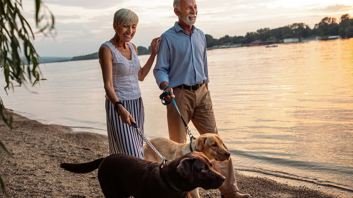 alert-–-how-much-in-superannuation-do-you-need-in-australia-to-retire?