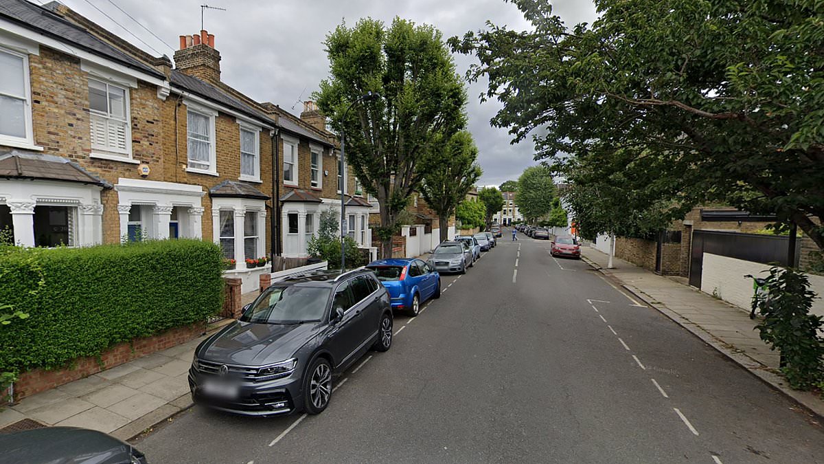 alert-–-woman-who-took-in-homeless-man-was-battered-to-death-by-him-with-a-mallet-in-her-1.3m-home-days-later,-court-hears