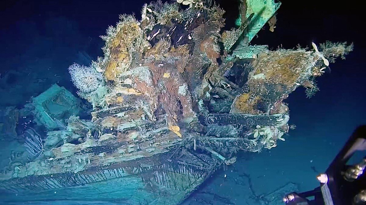alert-–-treasures-of-300-year-old-shipwreck-finally-found…-as-stunning-photos-reveal-contents-of-$20bn-trove