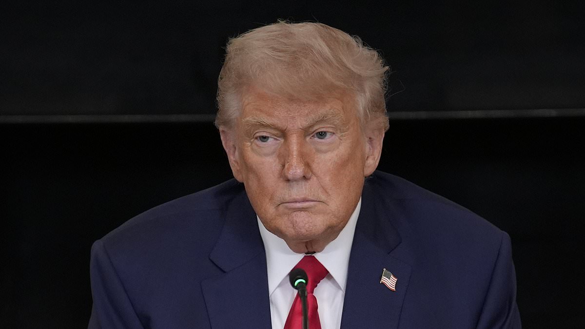 alert-–-voters-reveal-if-trump-would-have-won-election-without-elon-musk-and-weigh-in-on-his-new-political-party-idea