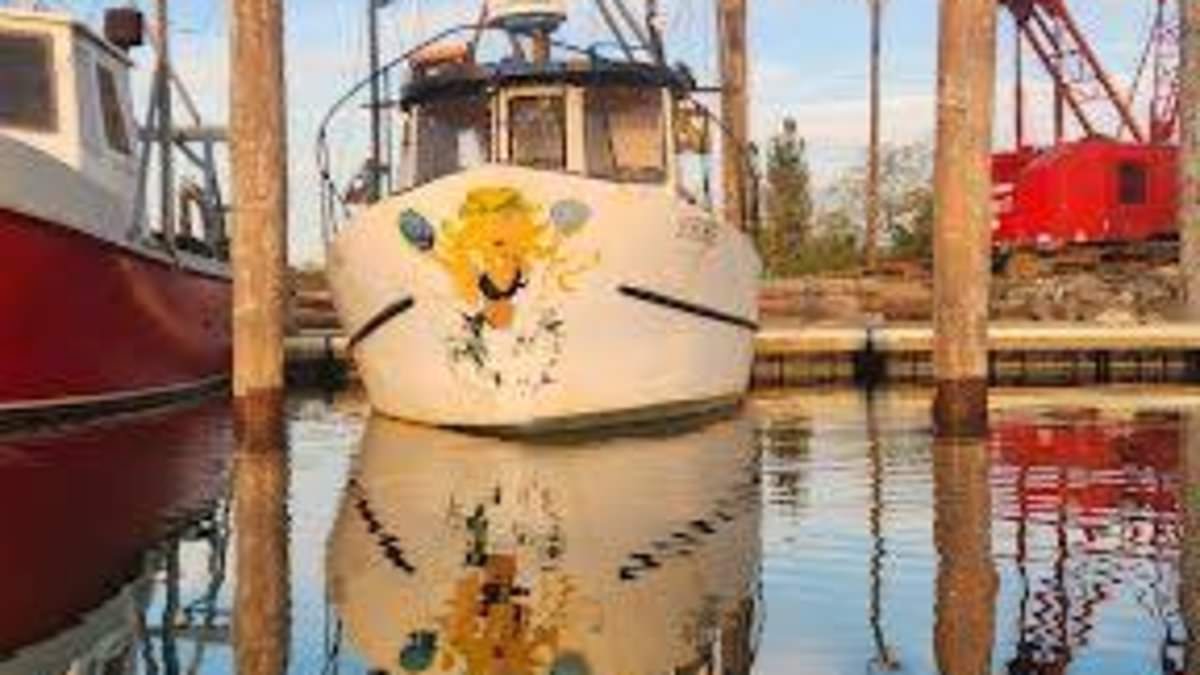 alert-–-fisherman-and-girlfriend-vanish-without-a-trace-after-he-hurled-equipment-off-boat-then-sailed-onto-cape-cod