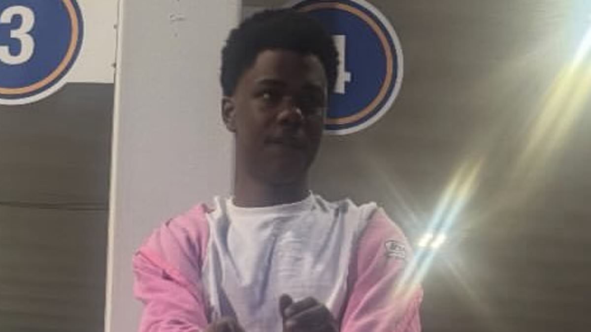 alert-–-teen-robber-pays-ultimate-price-for-carjacking-and-mugging-spree-after-targeting-concealed-carry-holder
