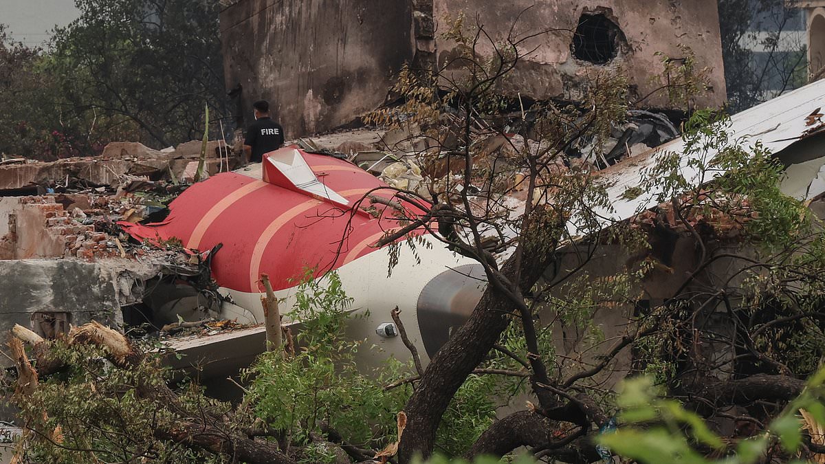 alert-–-air-india-flight-makes-emergency-landing-in-thailand-due-to-bomb-threat-–-day-after-gatwick-flight-tragedy