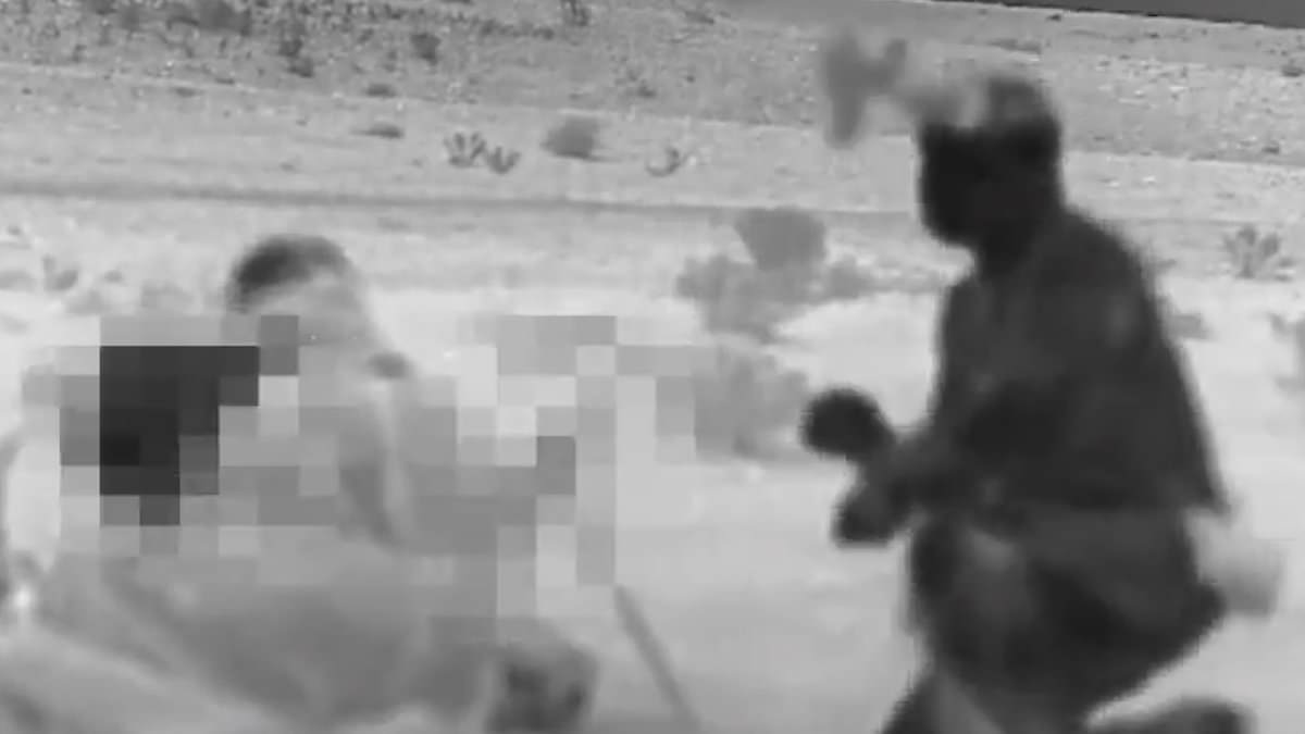 alert-–-inside-israel’s-operation-rising-lion:-how-mossad-spec-ops-smuggled-weapons-into-iran-and-set-up-secret-drone-factory-near-the-capital-in-years-long-mission-before-commandos-unleashed-trojan-horse-attack