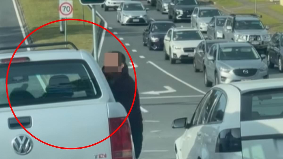alert-–-wild-moment-two-drivers-launch-into-a-fistfight-at-traffic-lights-in-furious-road-rage-incident-before-a-high-speed-chase-through-the-streets