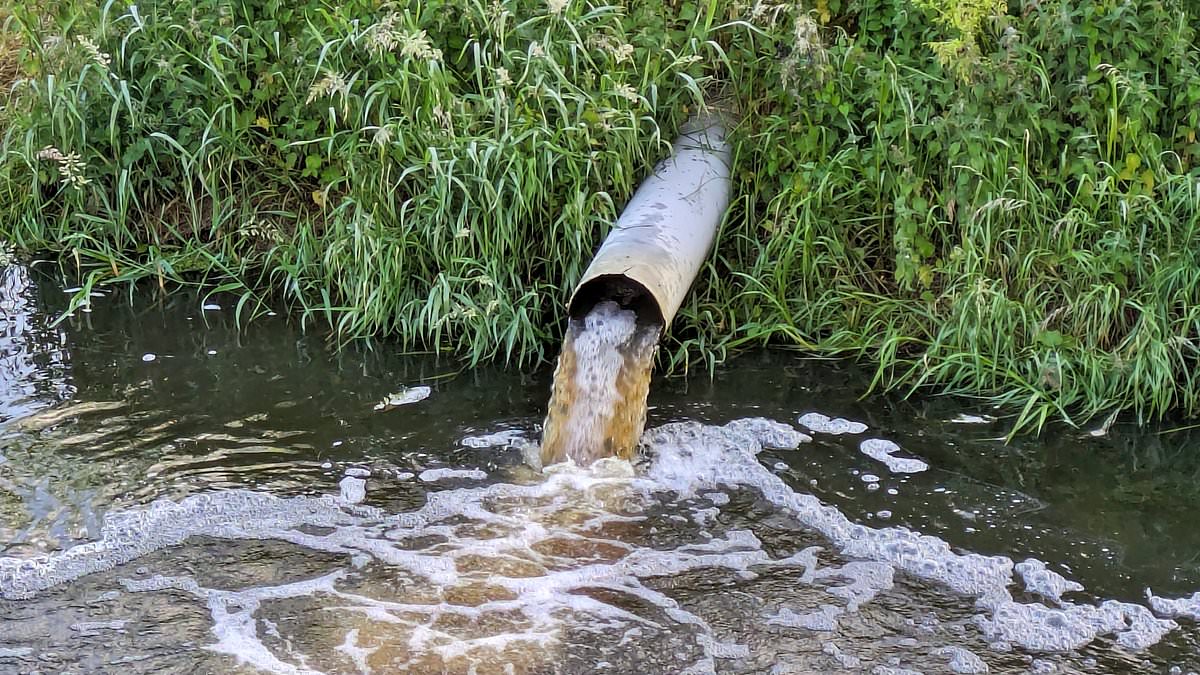 alert-–-thames-water-investors-beg-keir-starmer-to-step-in-and-save-debt-ridden-water-company-from-collapsing-after-clashing-with-ofwat-over-future-fines