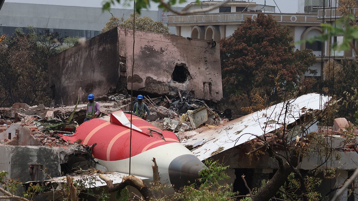 alert-–-hero-air-india-plane-crash-pilot-‘saved-dozens-of-people’s-lives-by-diverting-jet-at-the-last-second’