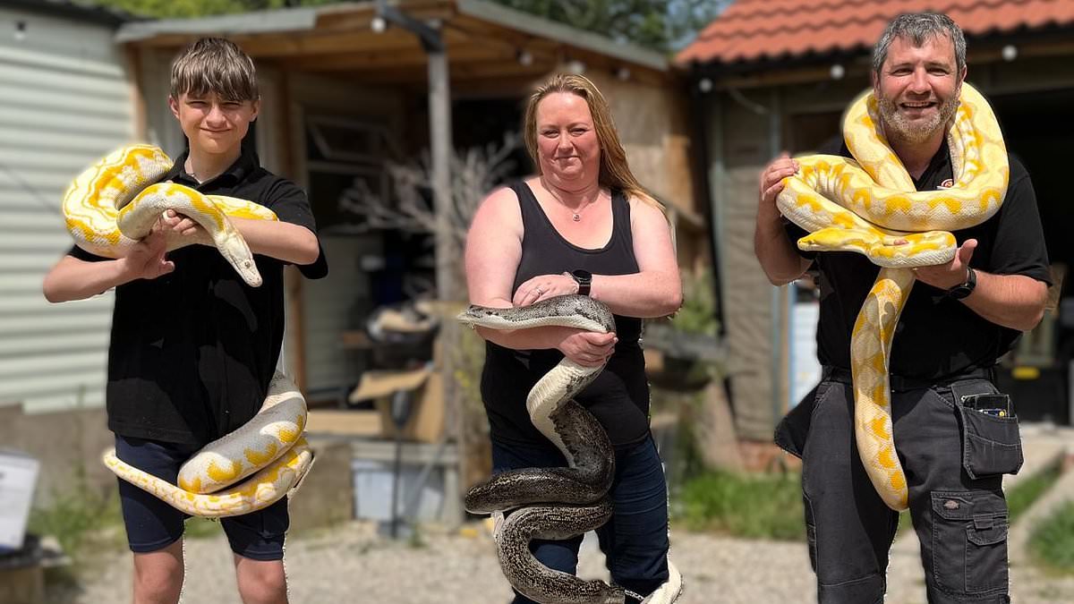 alert-–-dog-walkers-warned-after-18ft-long-python-that-can-crush-pets-to-death-is-on-the-loose