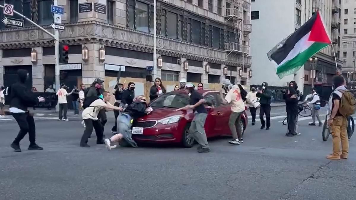 alert-–-anti-ice-protester-learns-bone-crunchingly-painful-lesson-after-trying-to-stop-car-in-middle-of-la-street