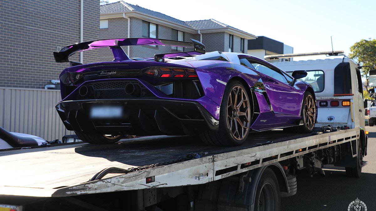 alert-–-the-astonishing-story-behind-this-purple-lamborghini-seized-by-nsw-police-in-sydney