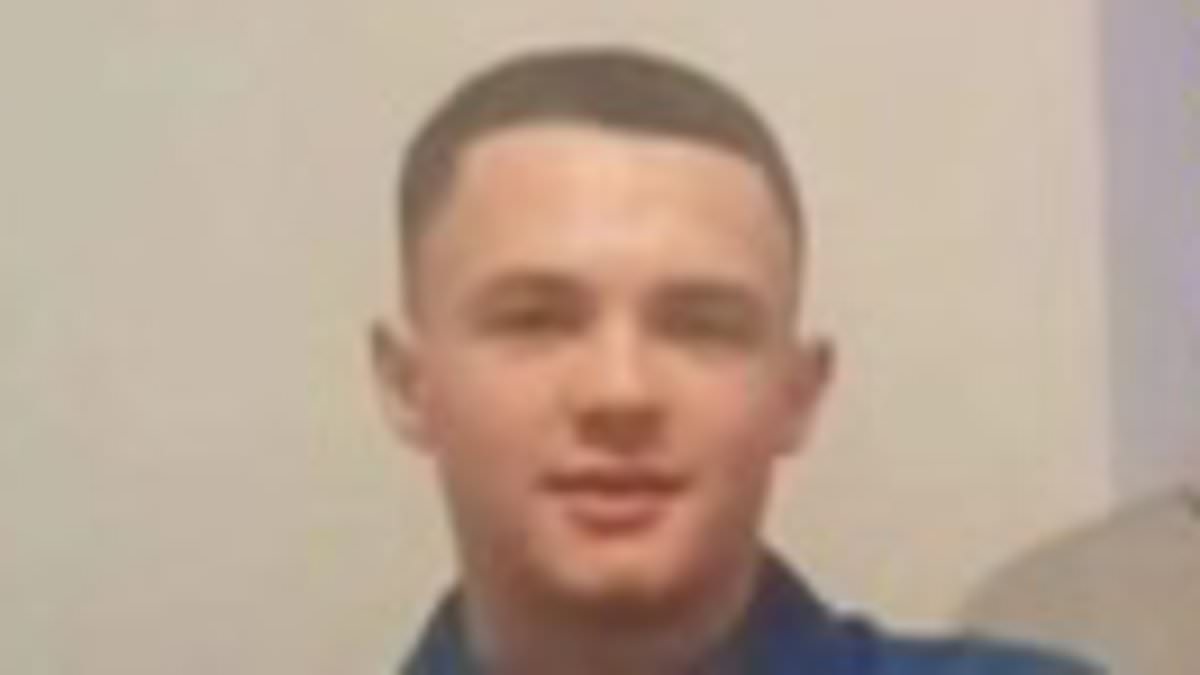alert-–-ava-white’s-schoolboy-killer-unmasked:-murderer’s-identity-is-revealed-on-his-18th-birthday-after-he-stabbed-12-year-old-to-death-outside-primark-in-petty-row-over-snapchat-video