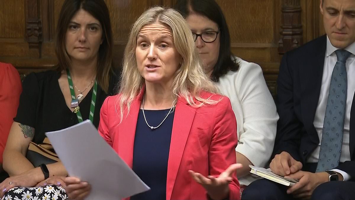 alert-–-lords-peers-vow-to-fight-law-on-assisted-dying-as-they-warn-it-may-not-‘see-the-light-of-day’-despite-narrow-backing-by-mps