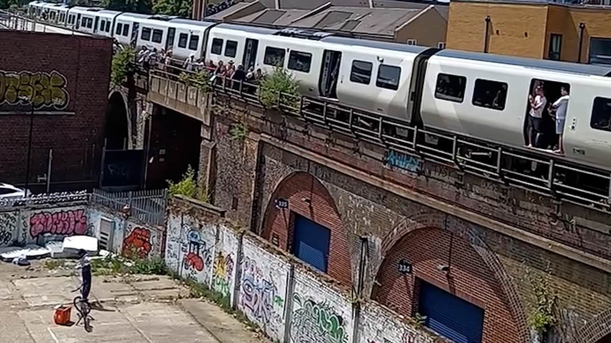 alert-–-moment-just-eat-rider-throws-food-delivery-onto-train-on-track-above-after-it-was-stranded-in-sweltering-heat