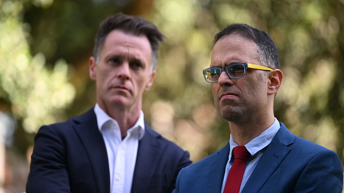 alert-–-nsw-plunges-$178billion-into-the-red-in-latest-budget-–-as-it-reveals-its-latest-spending-spree