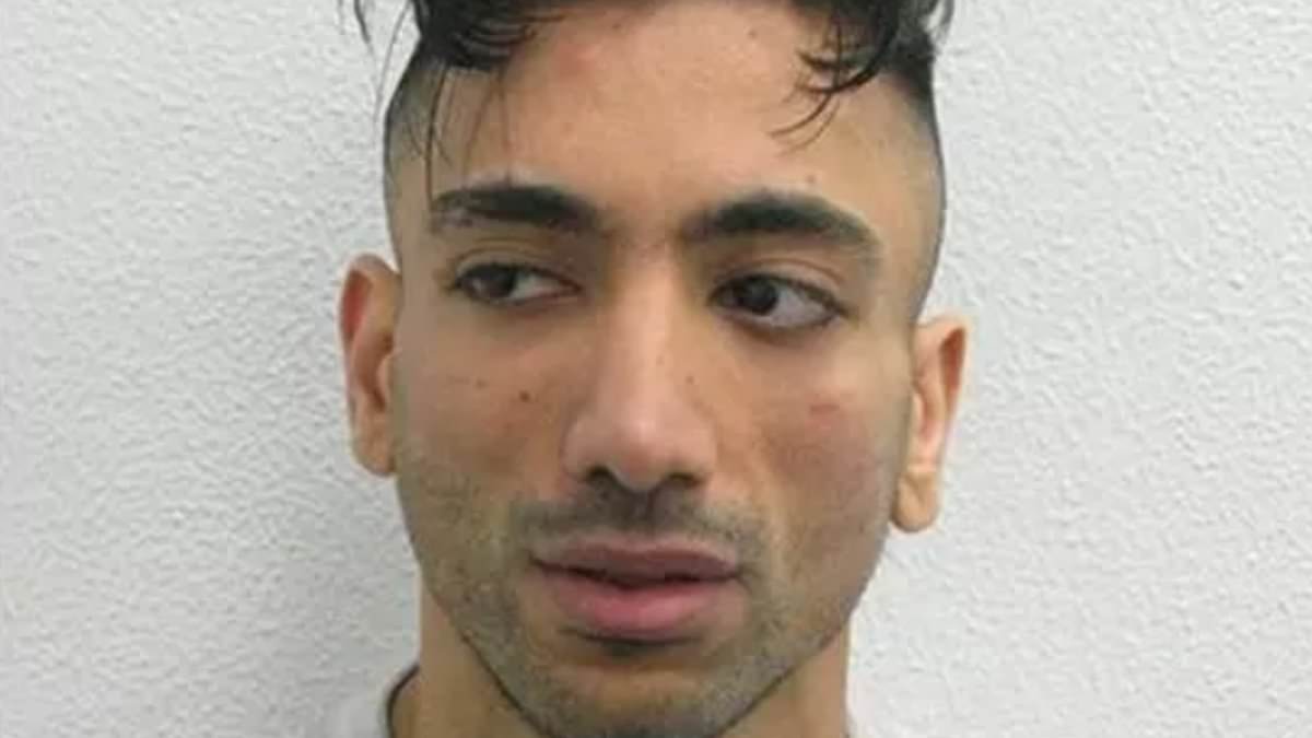 alert-–-revealed:-british-paedophile-who-‘married-nine-year-old-at-disneyland-paris’-is-jacky-jhaj…-the-predator-who-masterminded-a-fake-funeral-with-child-actors-and-an-explosion-near-the-o2