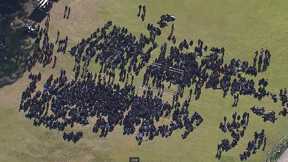 alert-–-bonnyrigg-high-school-is-plunged-into-lockdown-and-parents-are-told-not-to-contact-their-children