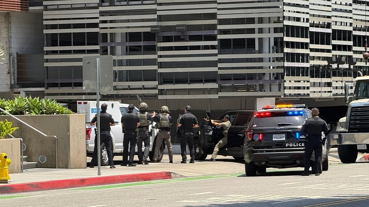 alert-–-santa-monica-mall-on-lockdown-as-gunman-opens-fire-and-leaves-one-police-officer-injured