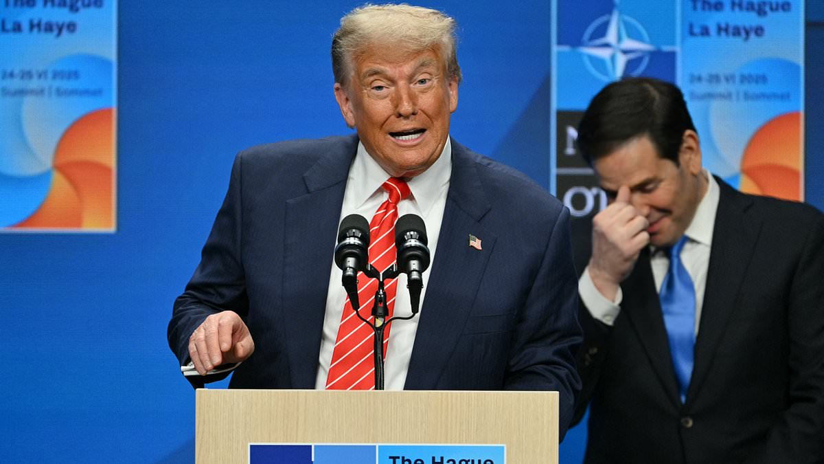 alert-–-‘i-didn’t-call-him-daddy!’-nato-chief-denies-using-grovelling-nickname-for-donald-trump-–-and-explains-what-he-did-mean-instead