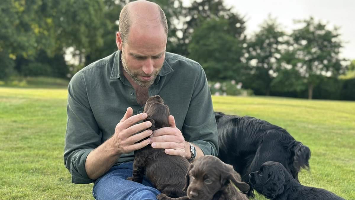 alert-–-animal-rights-fanatics-peta-target-william-and-kate-and-brand-them-‘staggeringly-out-of-touch’-for-allowing-their-dog-to-have-puppies