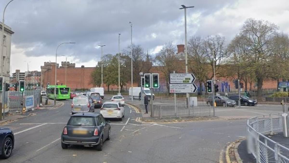 alert-–-woman-in-her-50s-dies-after-being-‘attacked-by-bmw-driver-who-flipped-his-car’-–-as-man,-23,-is-arrested-on-suspicion-of-murder