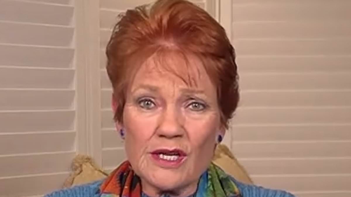 alert-–-pauline-hanson-makes-big-claim-about-what-anthony-albanese-would-do-if-he-was-the-us-president
