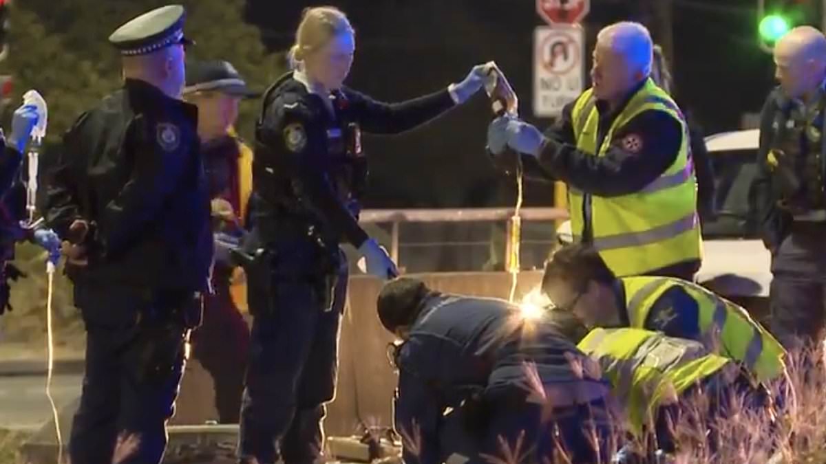 alert-–-major-update-after-man-was-struck-by-mystery-driver-in-alleged-hit-and-run-in-sydney’s-south-west