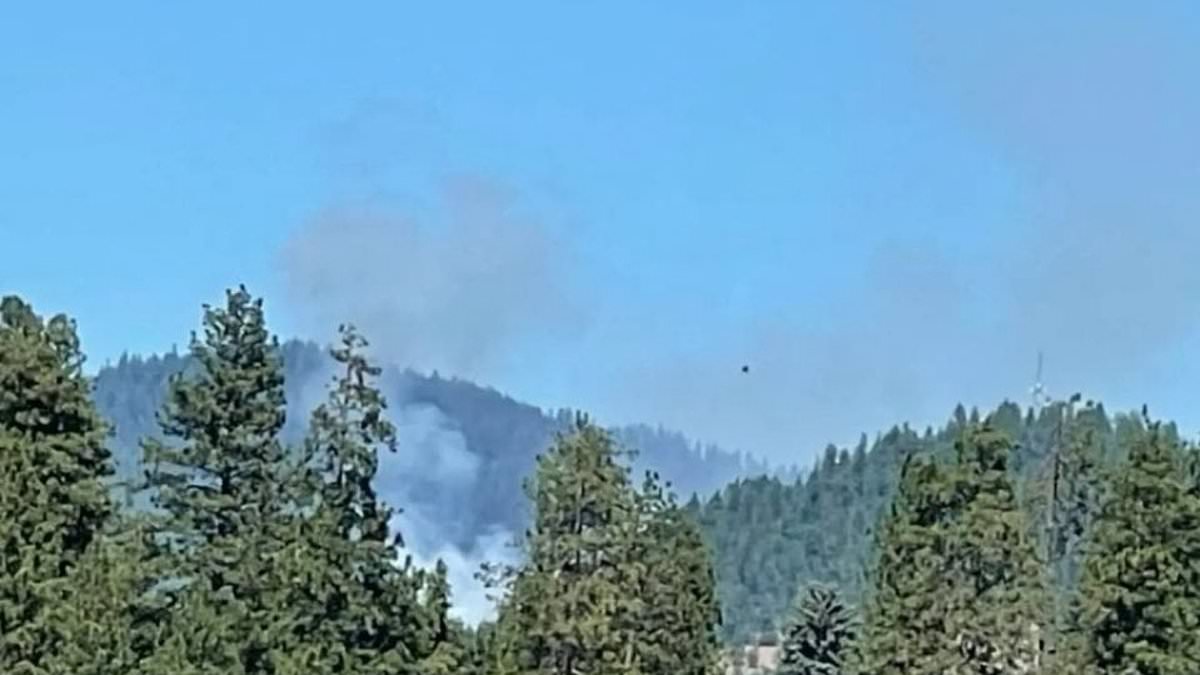 alert-–-gunman-found-dead-after-killing-at-least-two-firefighters,-cops-in-coeur-d’alene,-idaho,-after-‘blaze-set-as-bait’