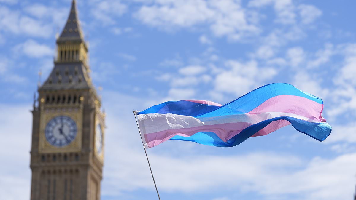 alert-–-broadcasters-must-air-the-view-that-trans-women-are-women,-media-watchdog-says