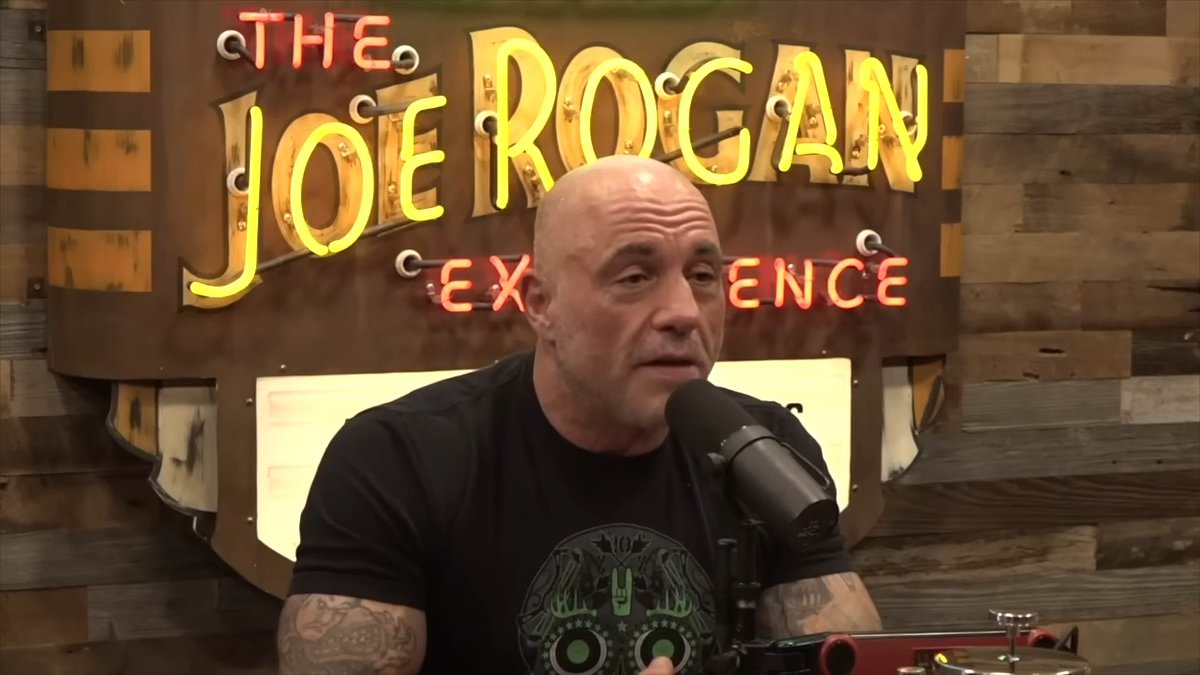 alert-–-joe-rogan-reveals-his-huge-fears-about-bread-in-america