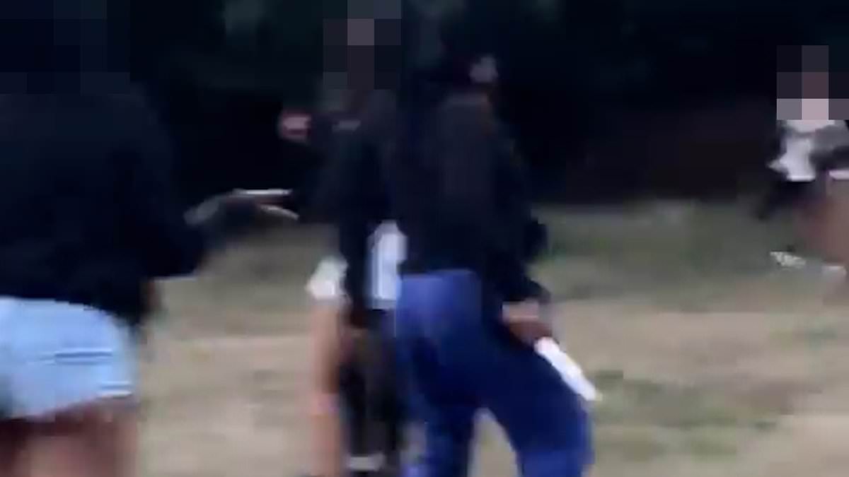 alert-–-moment-knife-wielding-attacker-pulls-out-huge-blade-and-lunges-at-party-goer-in-lawless-london-park