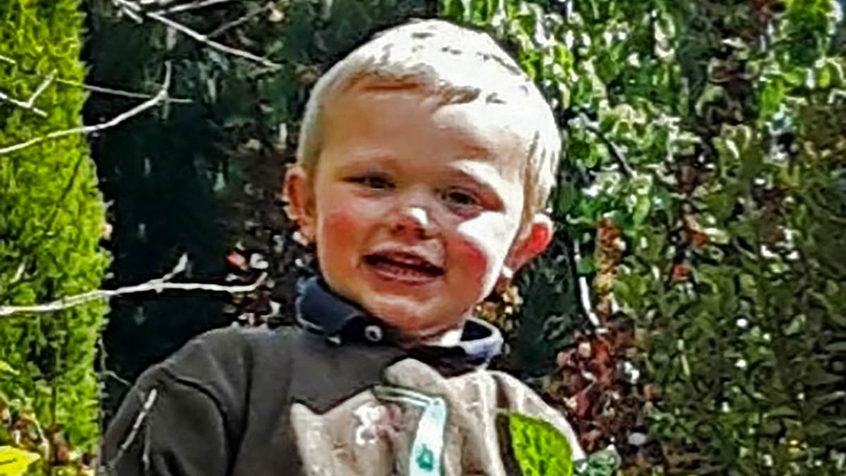 alert-–-father-of-boy,-3,-mauled-to-death-by-50kg-dog-knew-the-lad-could-get-into-the-pen-where-he-was-killed,-manslaughter-trial-hears