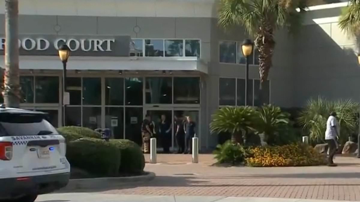 alert-–-shooting-at-oglethorpe-mall-leaves-at-least-five-injured-after-gunman-opened-fire-in-savannah,-georgia