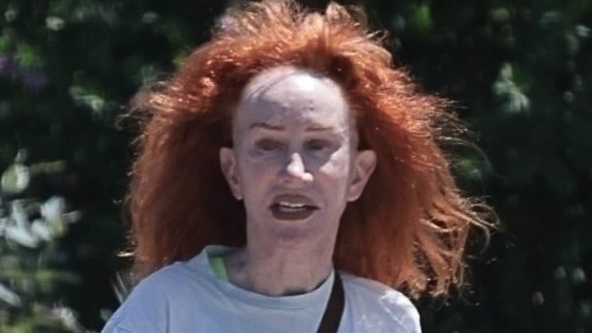 alert-–-kathy-griffin-looks-unrecognizable-as-she-steps-out-in-la-after-anti-trump-tiktok-drama
