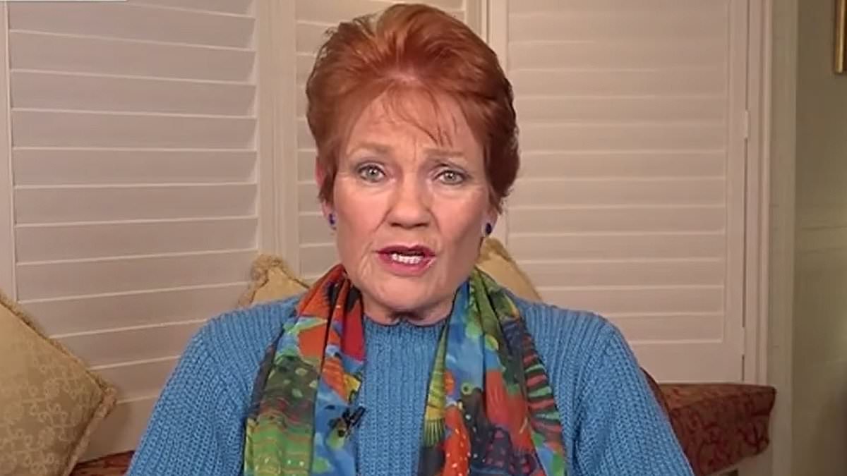 alert-–-pauline-hanson’s-warning-for-australia:-‘we-need-to-act-now’